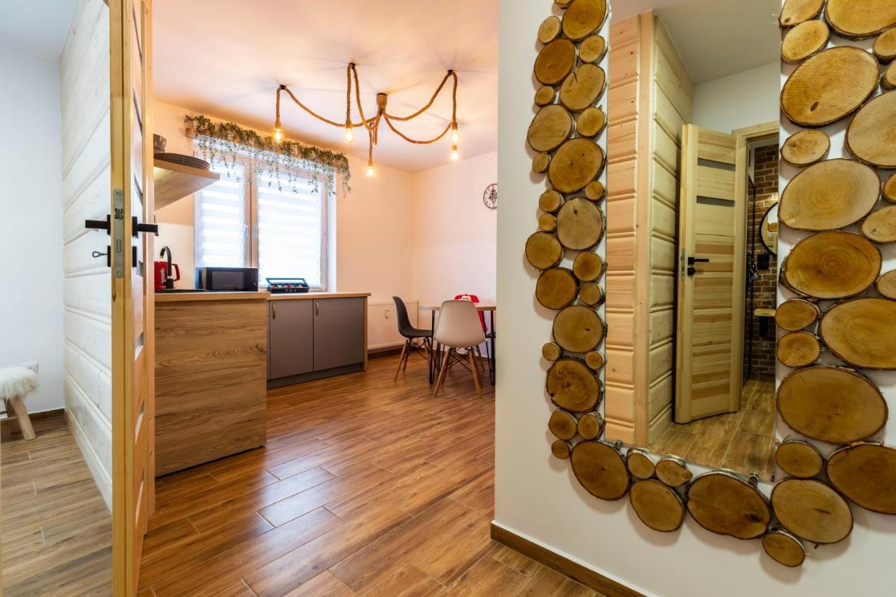 Apartament Hanki Przy Krupowkach 扎科帕内 外观 照片